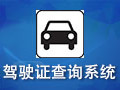 驾驶证查询系统 1.0 build 100326